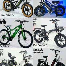 TIGIR SAMAKAT MATOR KALYASGA