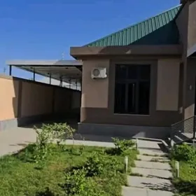 Arenda jay. Howly Anew