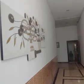 MIR 8/5.TAZE JAYLAR.МИР8.НОВОС