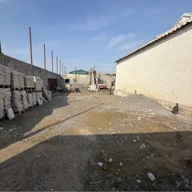 ANEW Gyssag  Ahal Koçe. Proekt