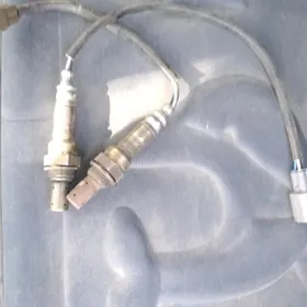 katalizator avalon 67