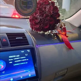 android андроид тв tv