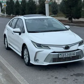 Toyota Corolla 2021