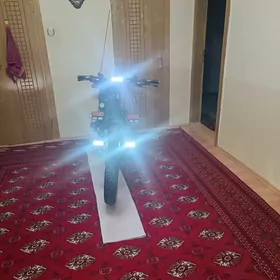 TIGIR  TOKLI  ТИГИР  ТОКЛИ