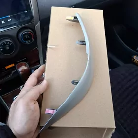 korolla Reyna tarpeda