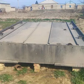 когел палетниса