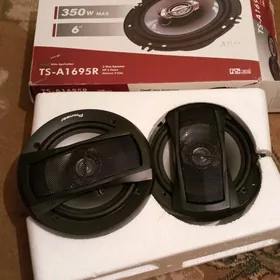 Gapy Kalonka pioneer