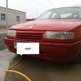 Opel Vectra 1991