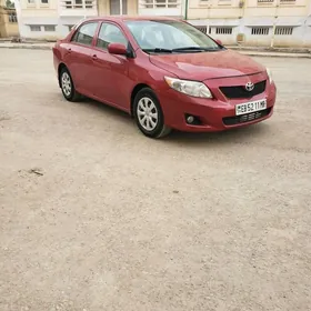 Toyota Corolla 2010