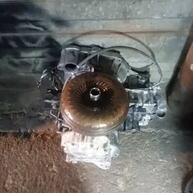 2 lik 2.2 lik karopga