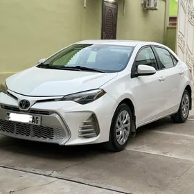 Toyota Corolla 2019