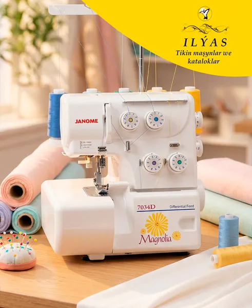 ILYAS  TIKIN  MASYNLAR  JUKKY JANOME Gallery 17