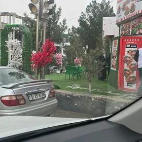 ise cagyryas vidyany gorin