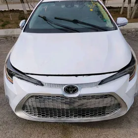 Toyota Corolla 2021