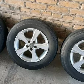 15 lik exklusiv diska