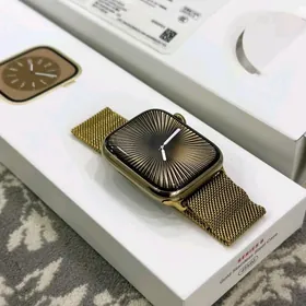 Apple Watch 8 Steinles 100%