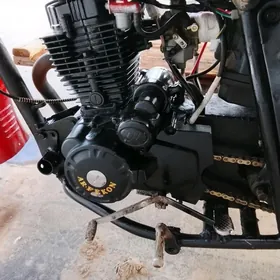 Fekon FK200-14G 2023