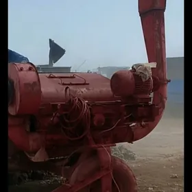 worh pagta arassalaÿjy warha