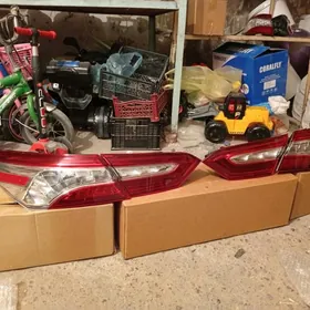 Camry xle 18-20 fara stop