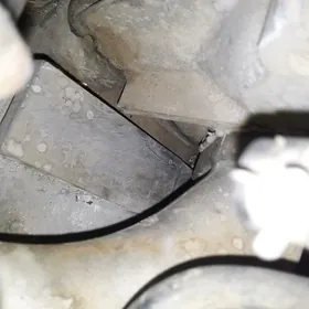 2.5 Максима Матор