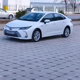 Toyota Corolla 2021