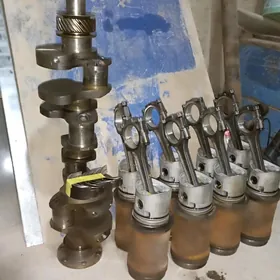 kolenwal ,gilza porşen şatun