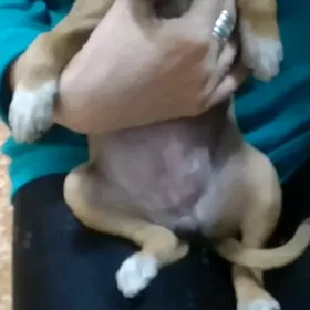 Малышка в добрые руки