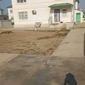 KOTEŹ COGANLY GYSSAGLY