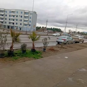 ARENDA MAGAZIN OBYEZD