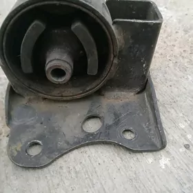 Nissan Sunny Padushka