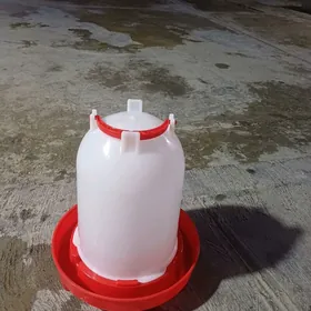 towuk jüÿje bedene suv  berilÿ