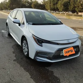 Toyota Corolla 2021