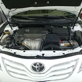 Toyota Camry 2010