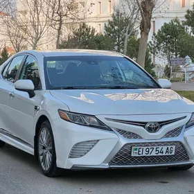 Toyota Camry 2019