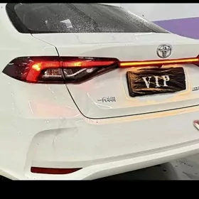 yzky stop nikel cyra 19-24