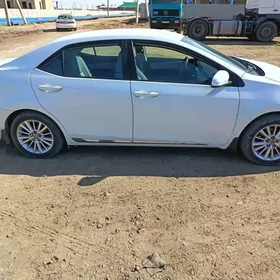Toyota Corolla 2013