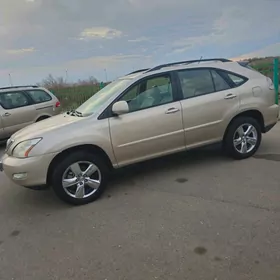 Lexus RX 330 2004