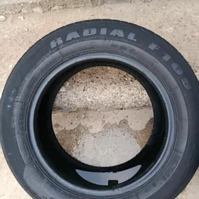 215/60R16 pakrişka