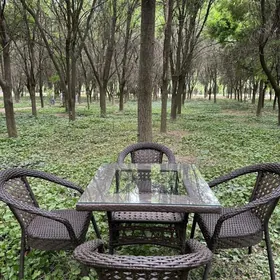 dokolan Stol Stul Стол Стул