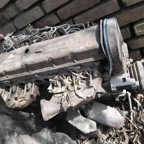 woruswagen diwitil karopka