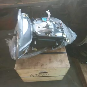 Taze Forlandlan karopkasy