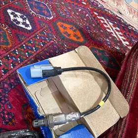 Azerañ katalizator datçigi