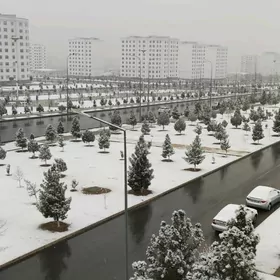 Jaý gerek arenda Mir5-7-8