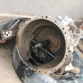 maz karopgya  kici dilitil