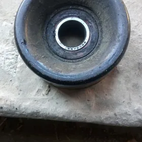 Пашипник натаржитл