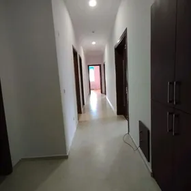 Elitka jaý kreýine