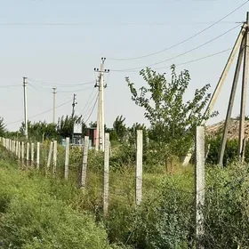 Kaka etr taýyn biznes