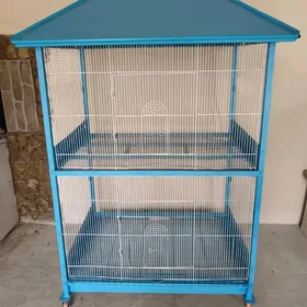 2etaz Guș, bedene, juyje ketek