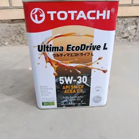 Totachi Ýaponiýanyň mator ýagy