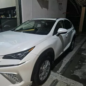 Lexus NX 300 2020